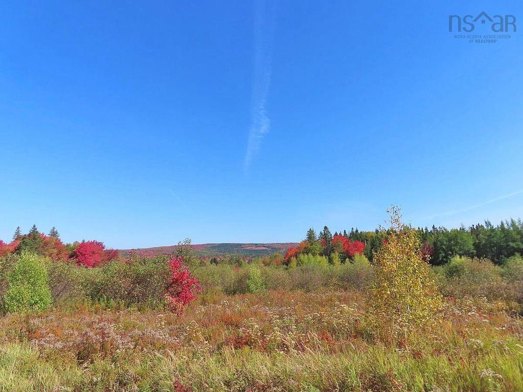 62 Acres West Side Road, West Side Country Harbour, NS