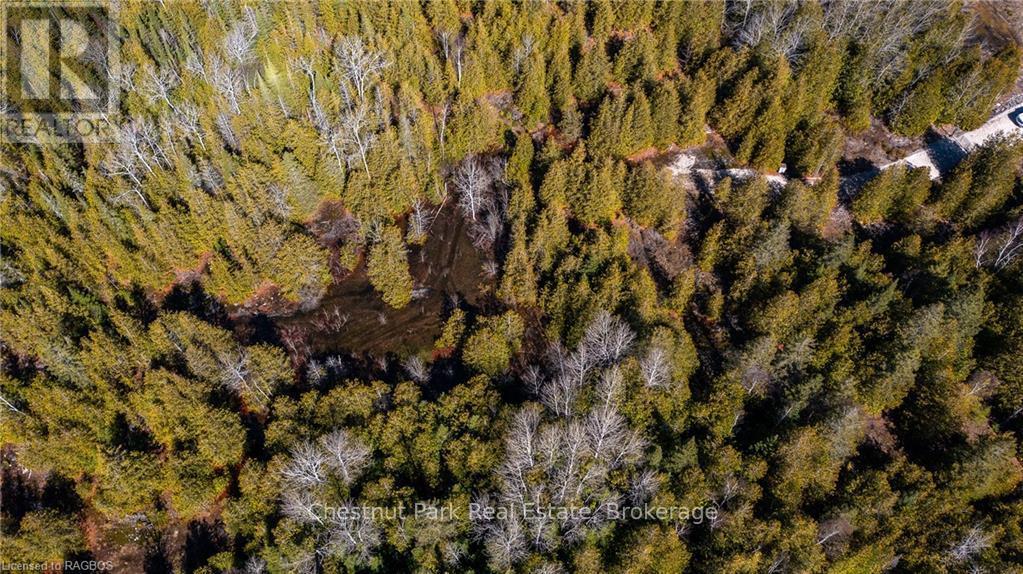 4693 Highway 6, Northern Bruce Peninsula, ON