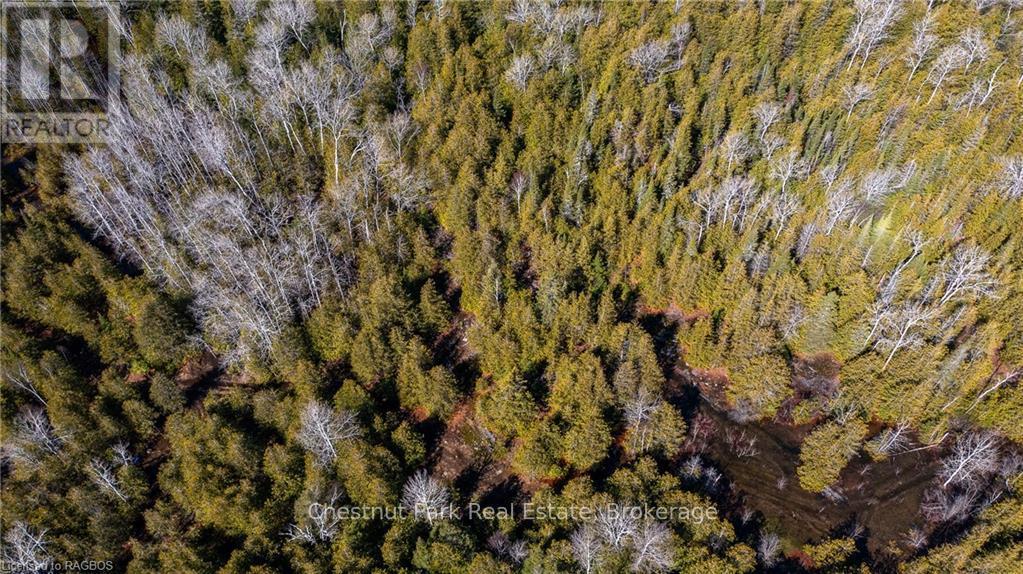 4693 Highway 6, Northern Bruce Peninsula, ON