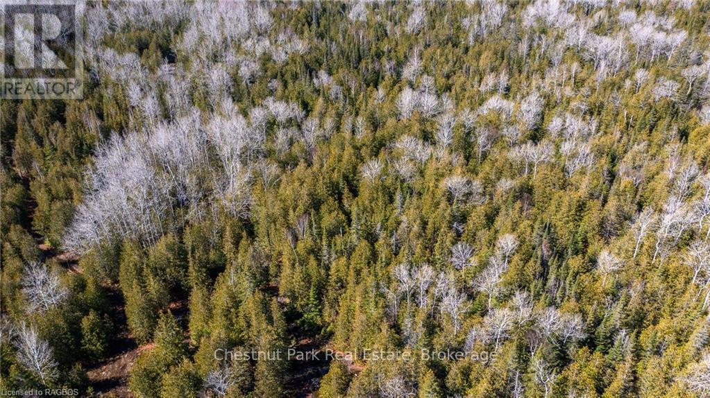 4693 Highway 6, Northern Bruce Peninsula, ON