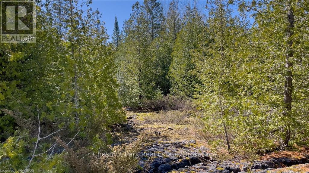 4693 Highway 6, Northern Bruce Peninsula, ON