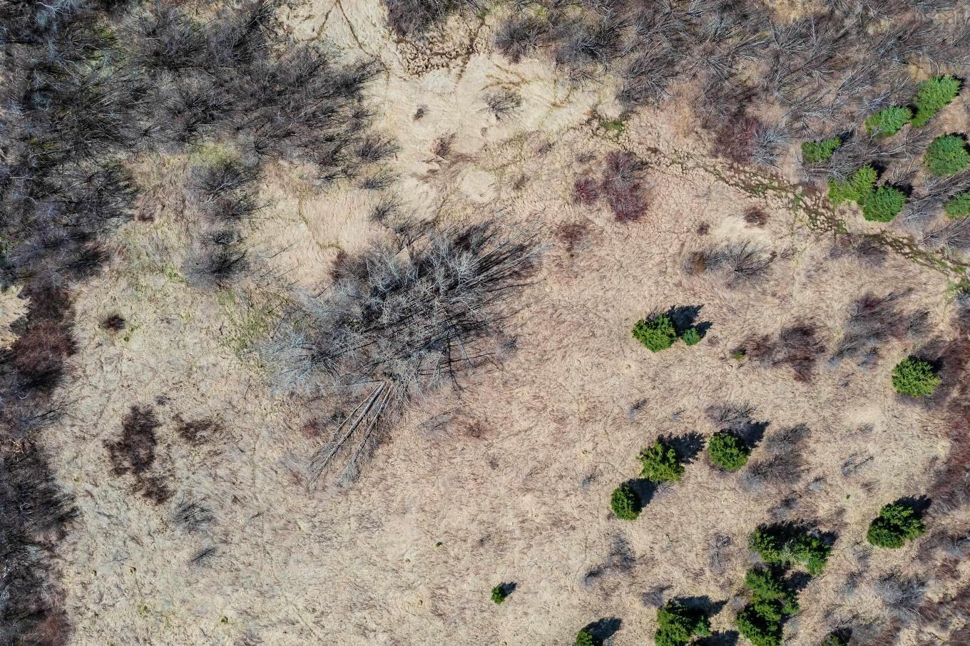 24.3 Lots Hansford Road, Victoria, NS