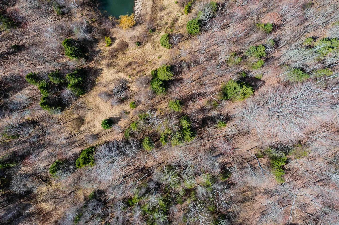 24.3 Lots Hansford Road, Victoria, NS