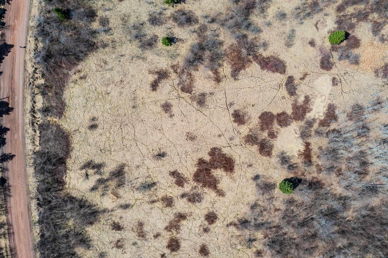 24.2 Lots Hansford Road, Victoria, NS