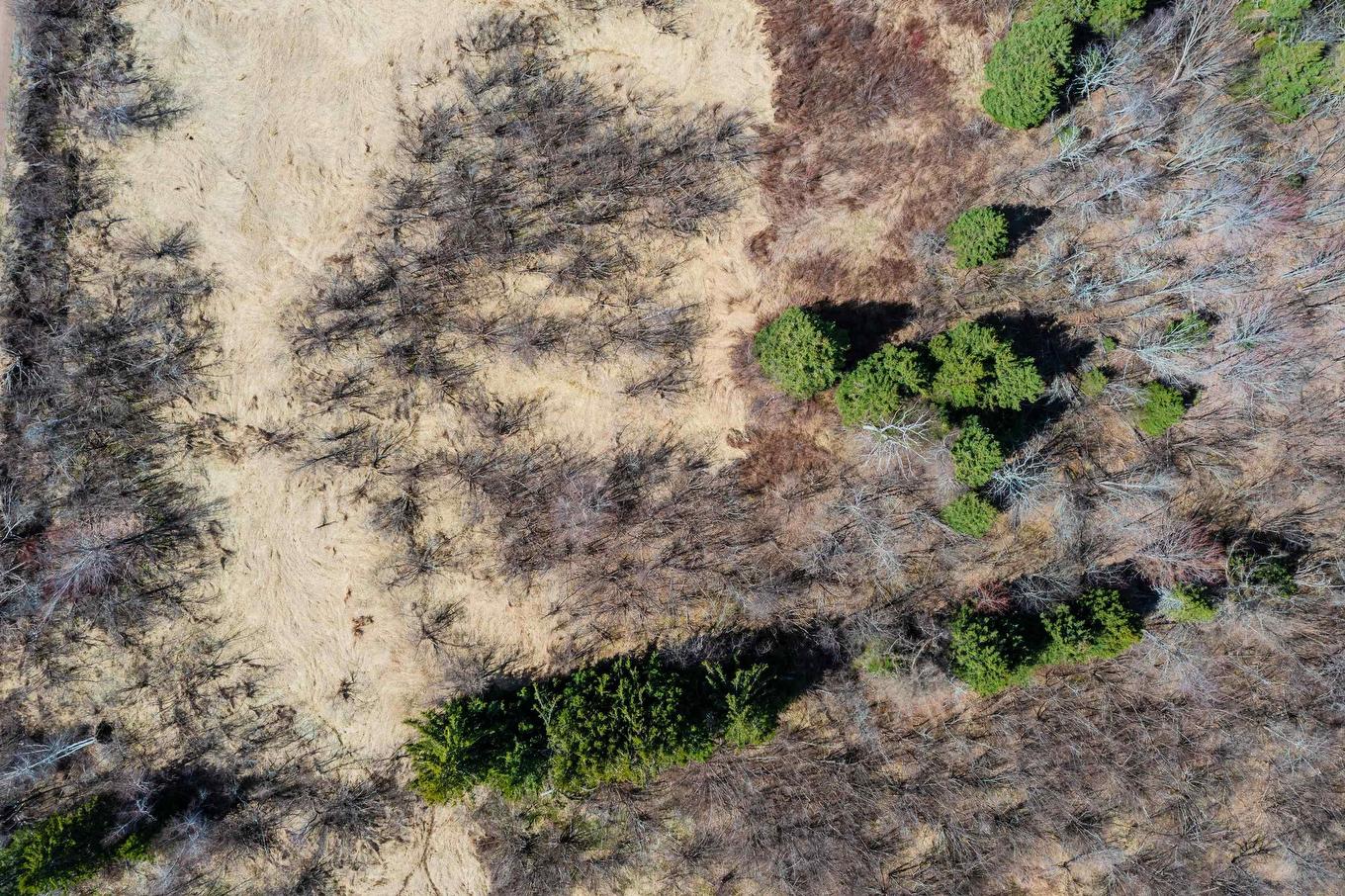 24.2 Lots Hansford Road, Victoria, NS