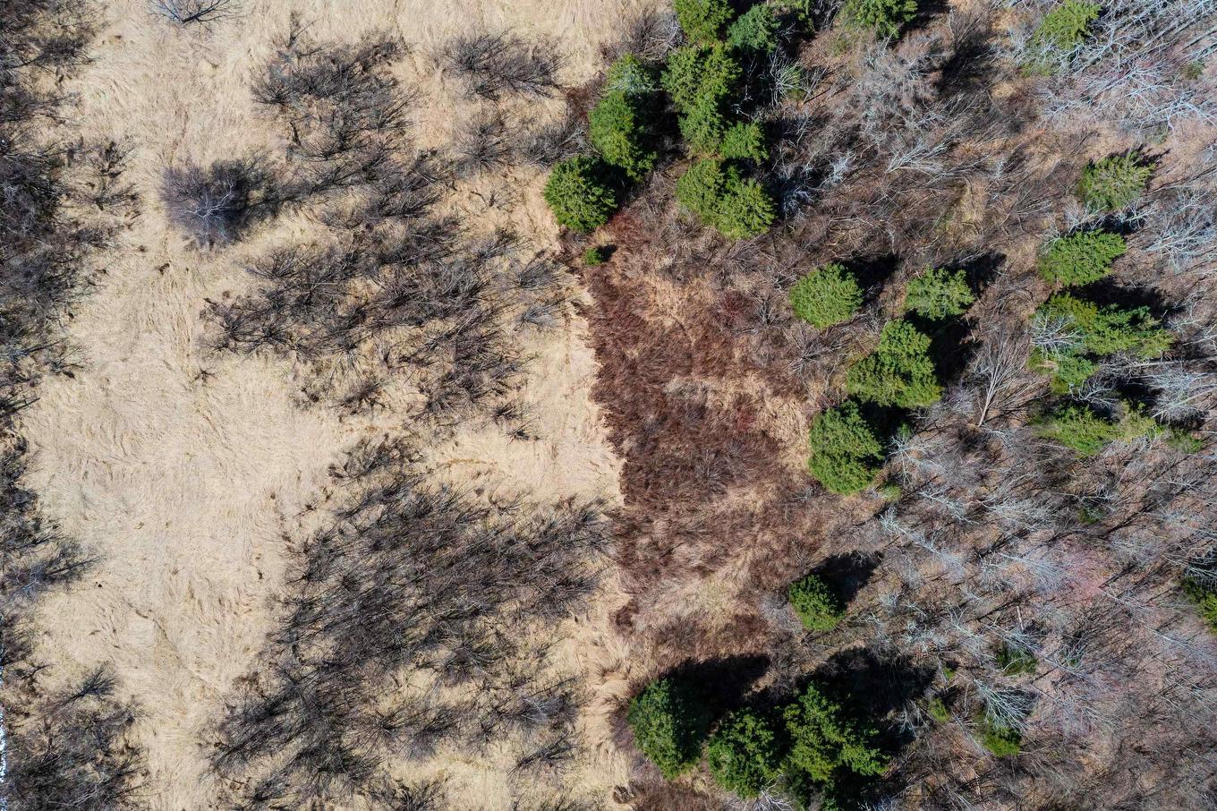 24.2 Lots Hansford Road, Victoria, NS