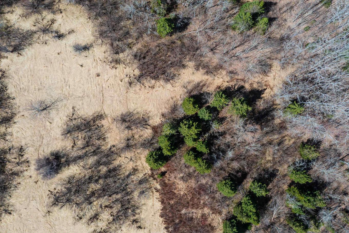 24.2 Lots Hansford Road, Victoria, NS