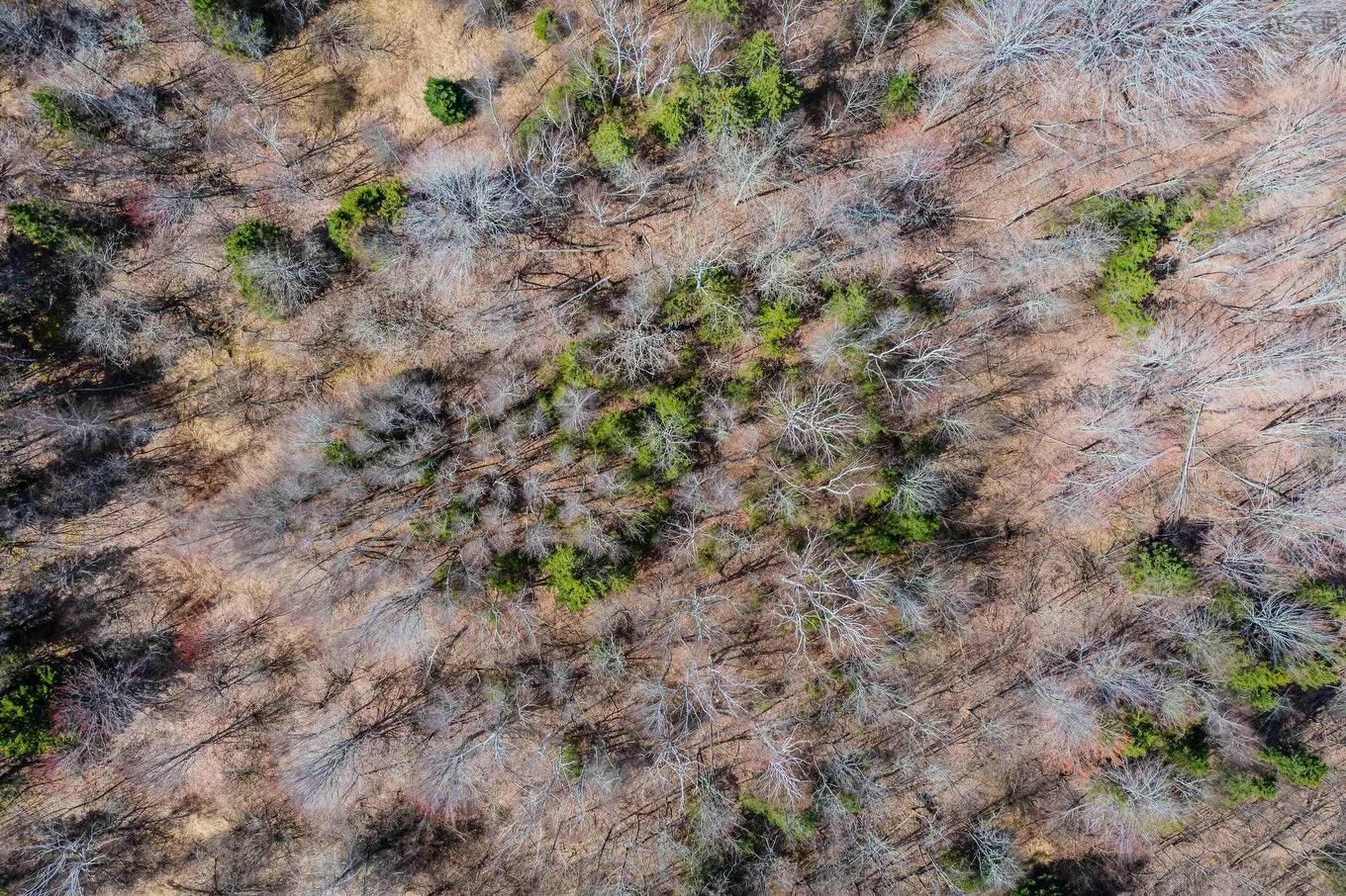 24.2 Lots Hansford Road, Victoria, NS