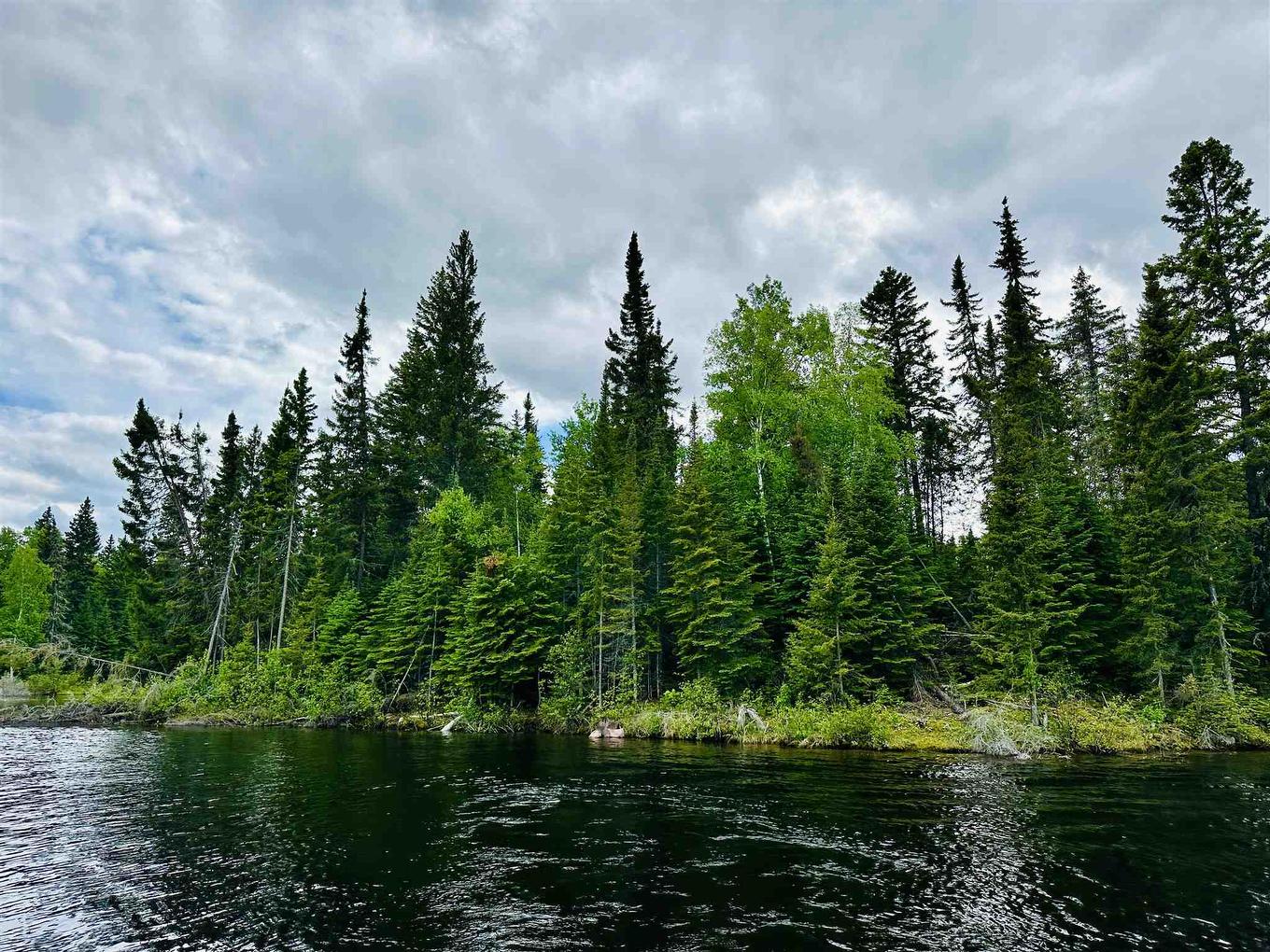 116 Mcmanus Street, Balmertown, ON