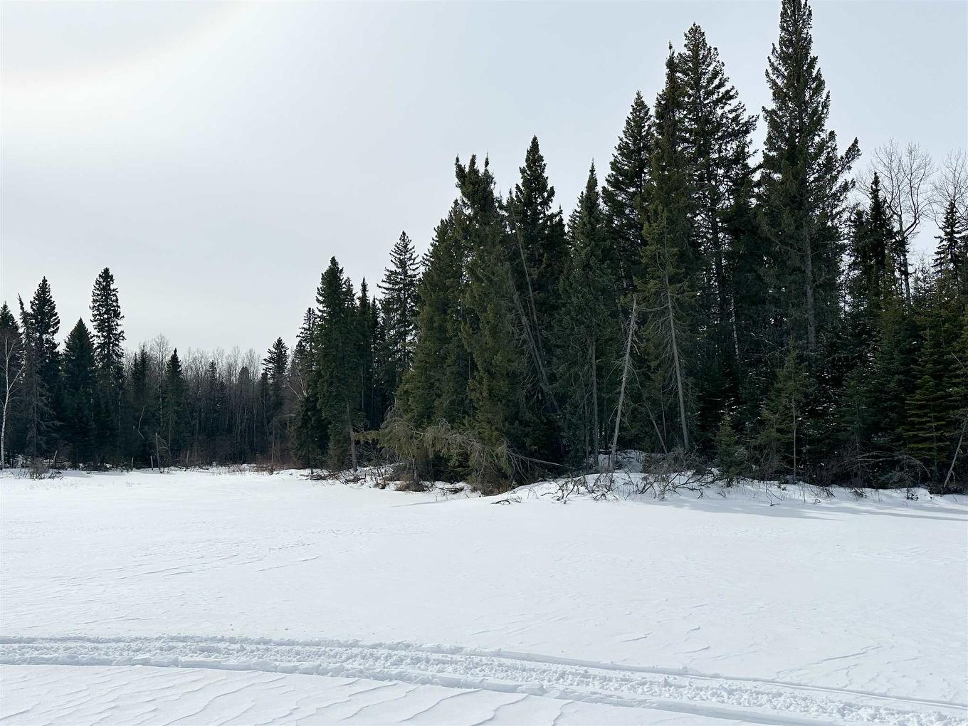 116 Mcmanus Street, Balmertown, ON