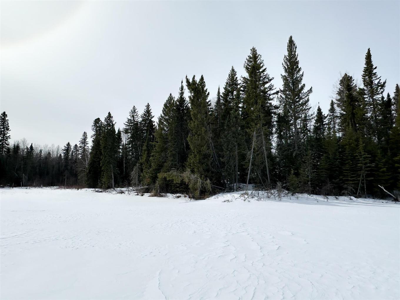 116 Mcmanus Street, Balmertown, ON