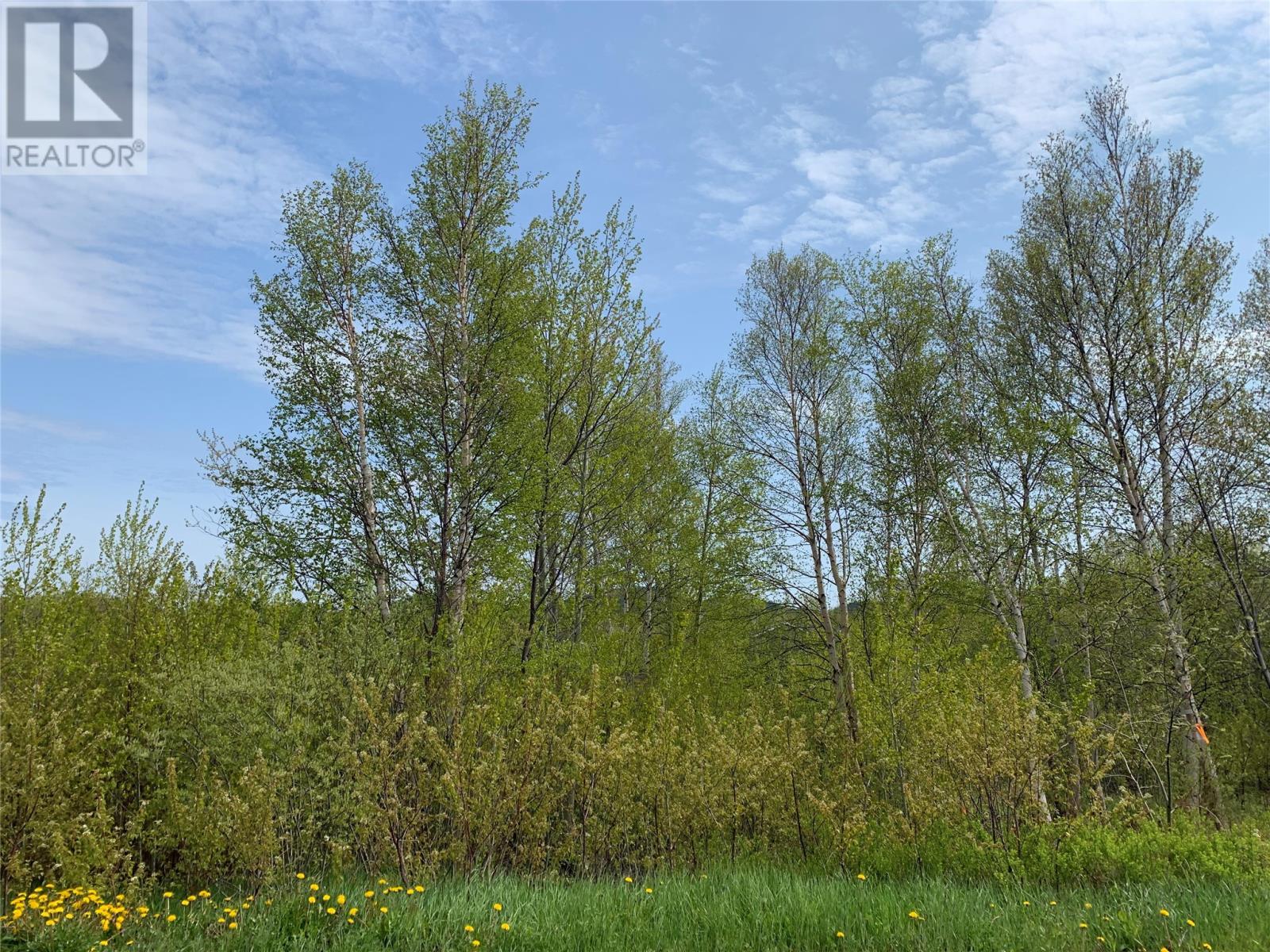 2 Pond Road, Embree, NL