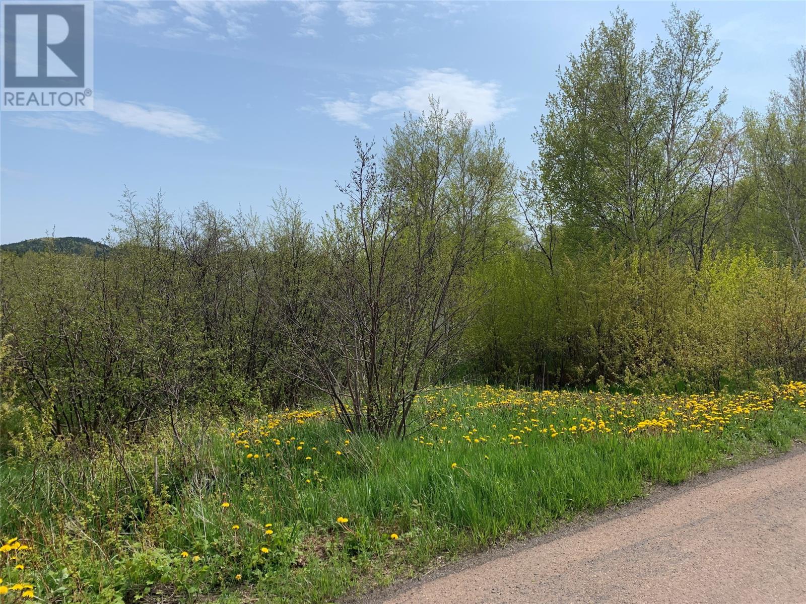 2 Pond Road, Embree, NL