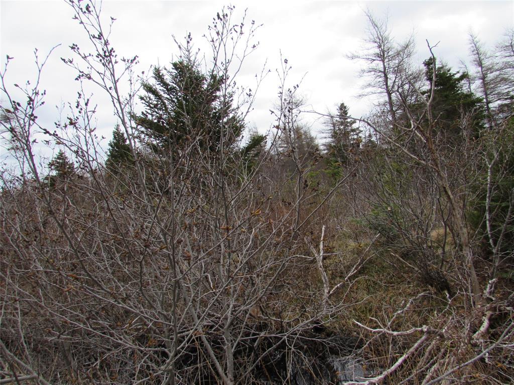 45 New Line Road, Colliers, NL