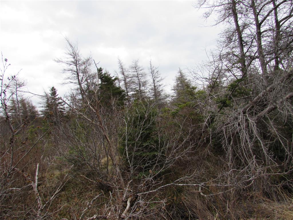 45 New Line Road, Colliers, NL