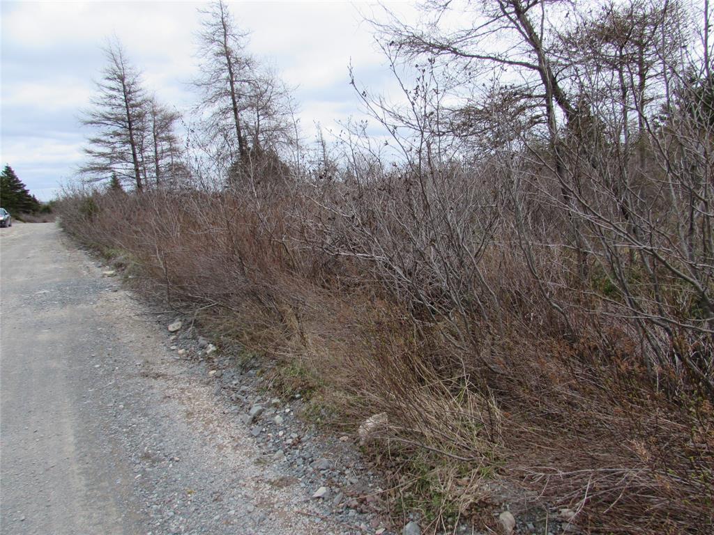 45 New Line Road, Colliers, NL