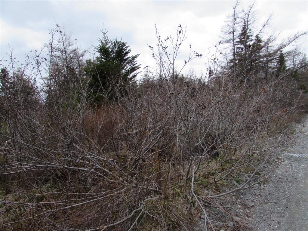 45 New Line Road, Colliers, NL