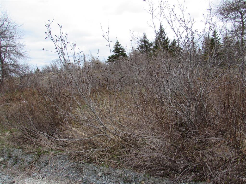 45 New Line Road, Colliers, NL