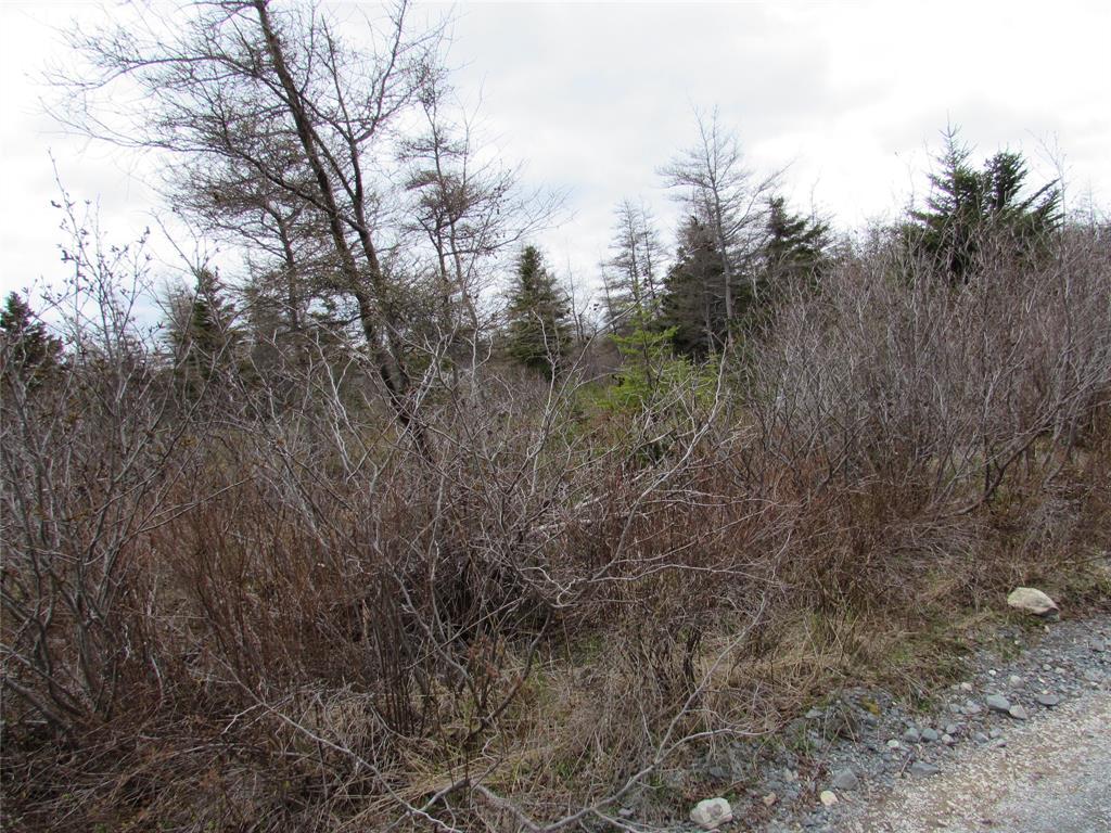 45 New Line Road, Colliers, NL