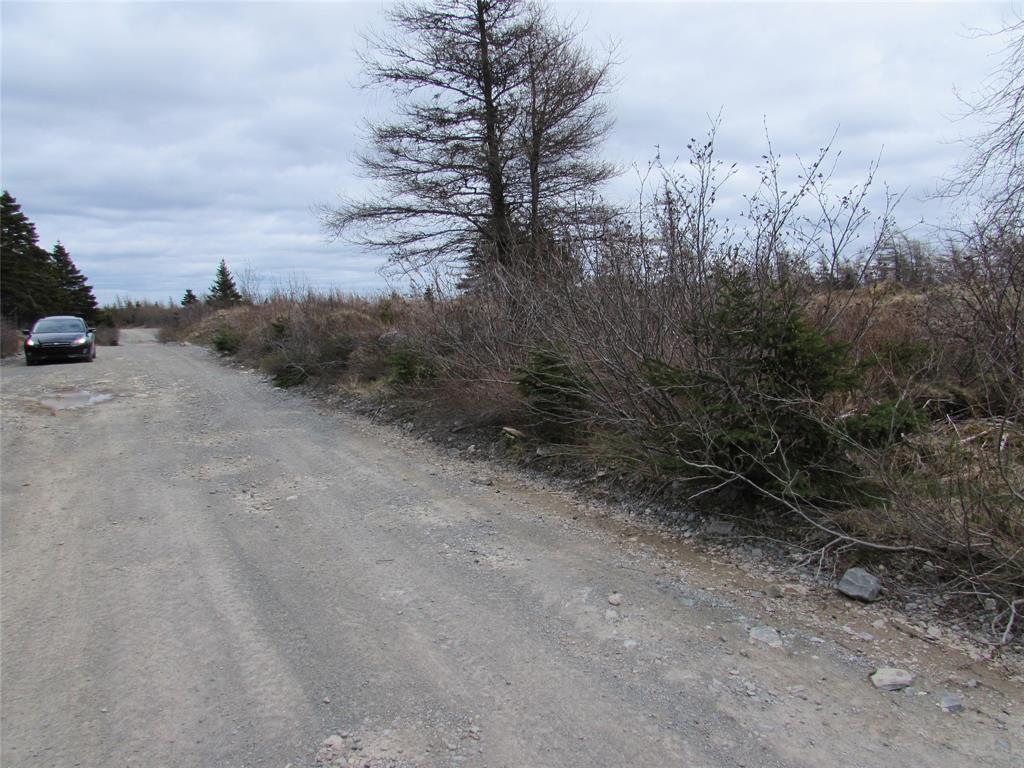 45 New Line Road, Colliers, NL