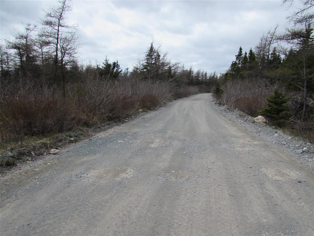 45 New Line Road, Colliers, NL