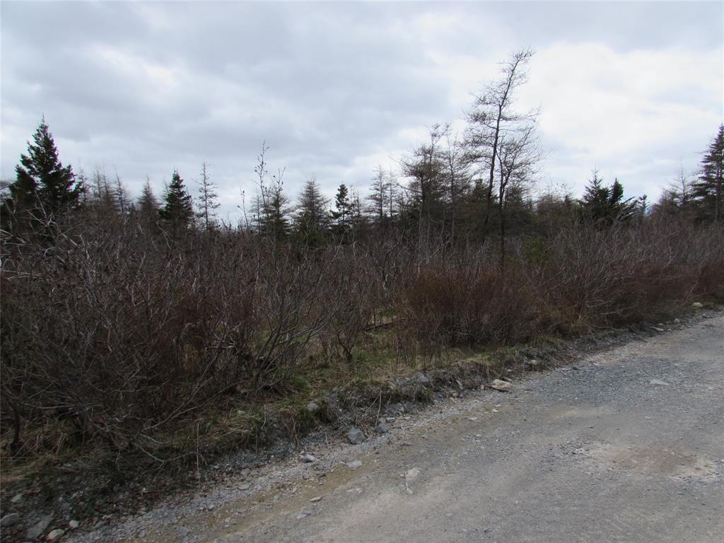 45 New Line Road, Colliers, NL