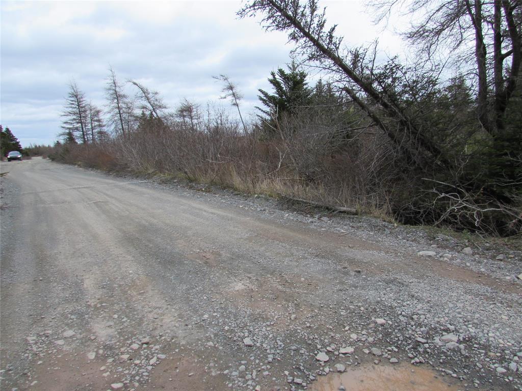 45 New Line Road, Colliers, NL