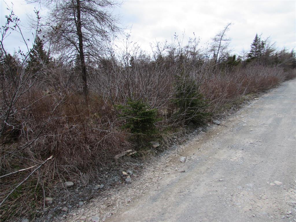 45 New Line Road, Colliers, NL