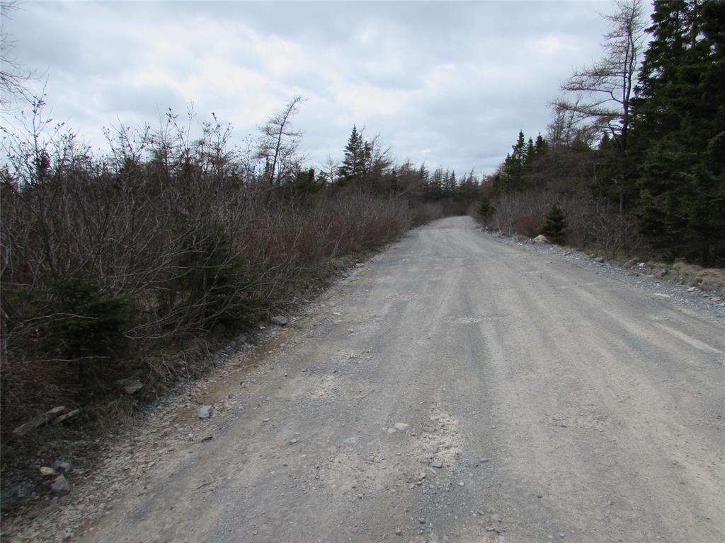 45 New Line Road, Colliers, NL