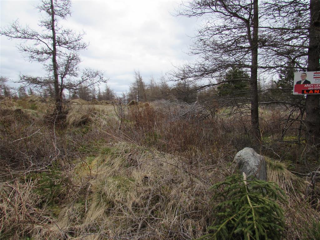 45 New Line Road, Colliers, NL