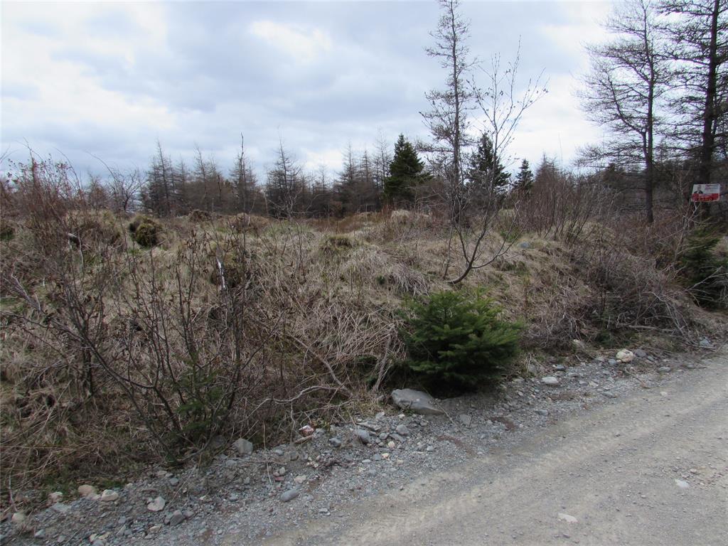 45 New Line Road, Colliers, NL