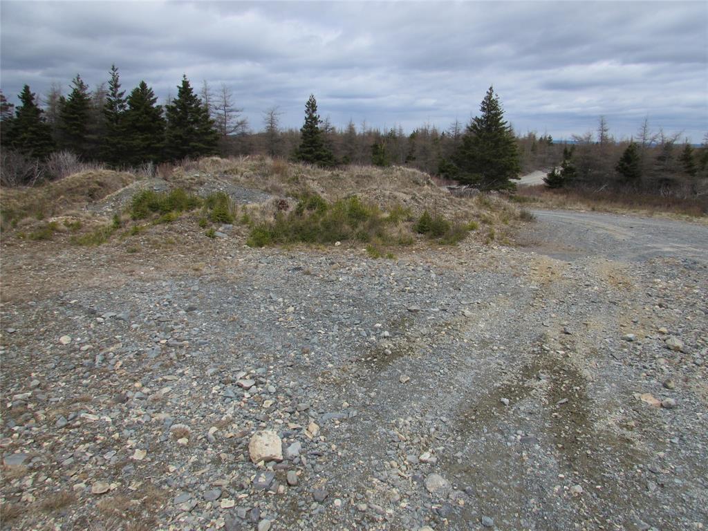 45 New Line Road, Colliers, NL