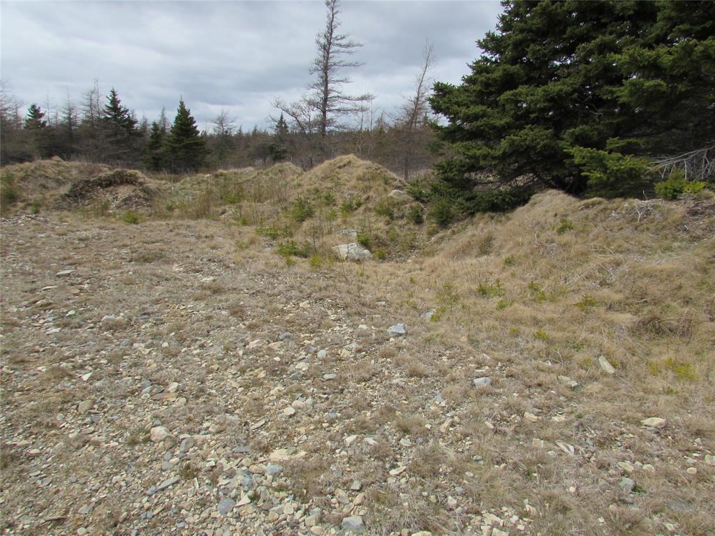 45 New Line Road, Colliers, NL