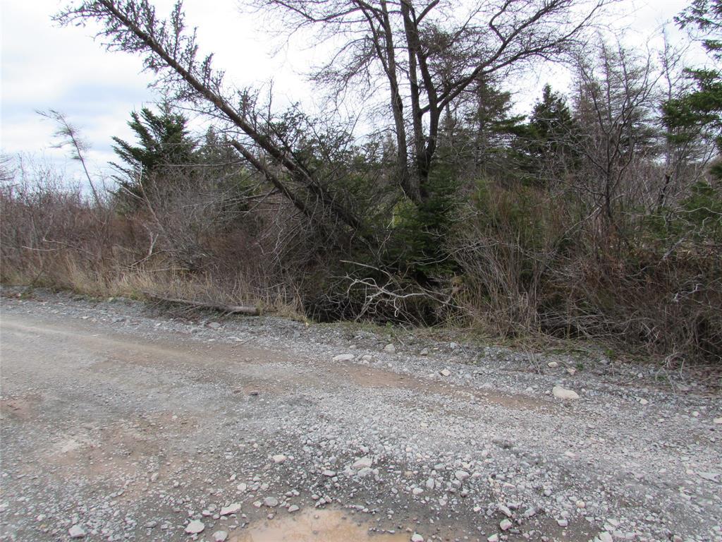 45 New Line Road, Colliers, NL