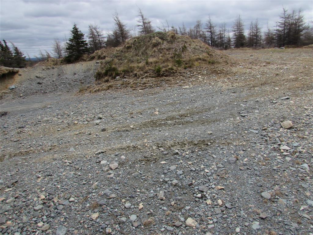 45 New Line Road, Colliers, NL