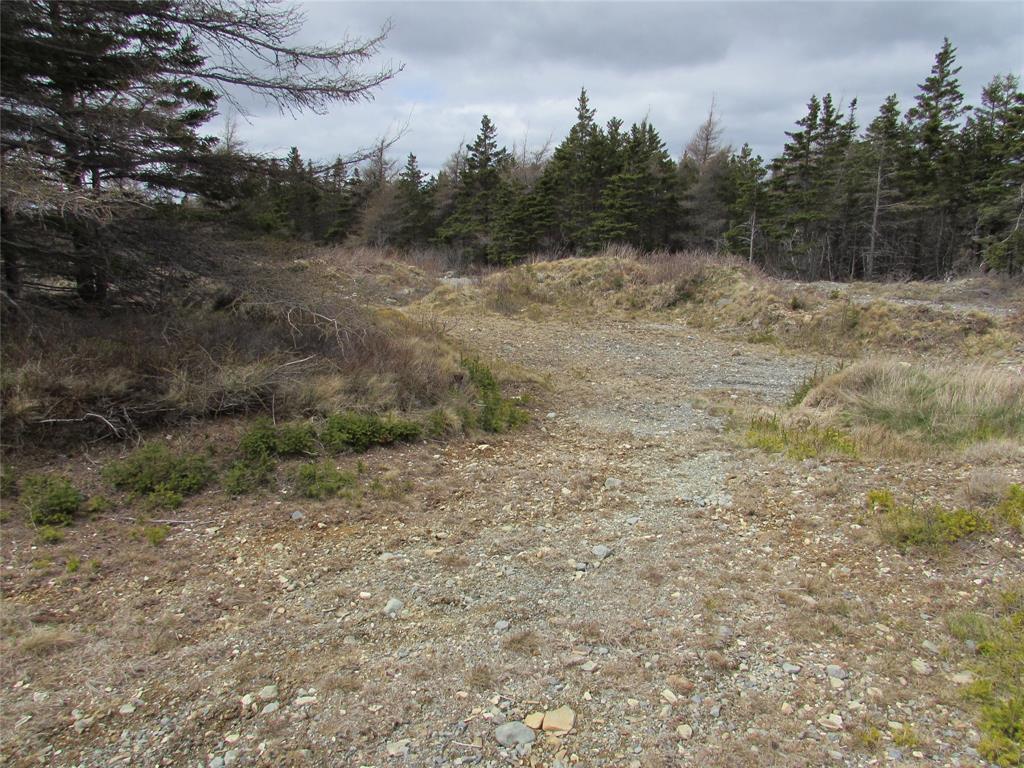 45 New Line Road, Colliers, NL