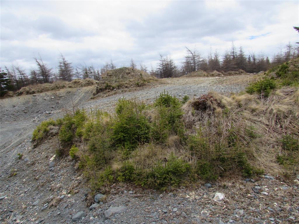 45 New Line Road, Colliers, NL