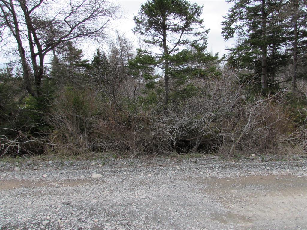 45 New Line Road, Colliers, NL