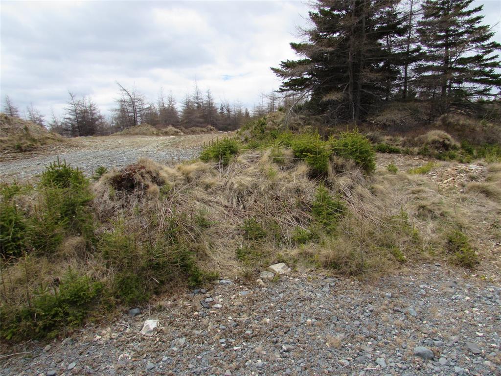 45 New Line Road, Colliers, NL