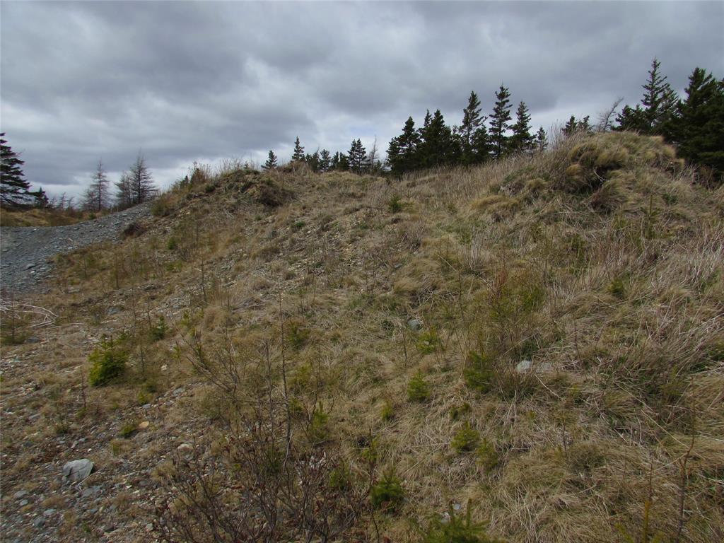 45 New Line Road, Colliers, NL