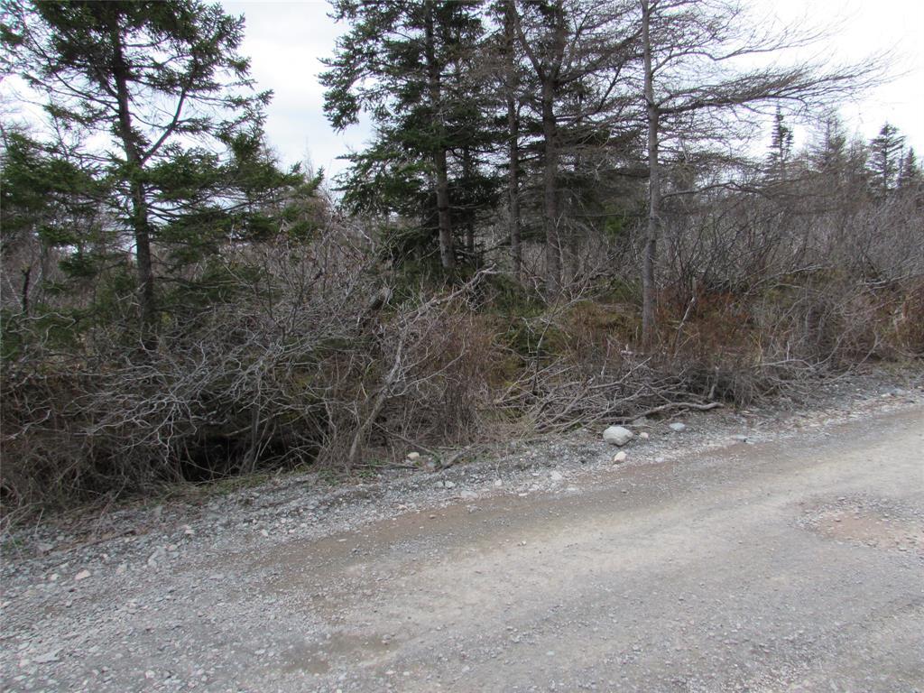 45 New Line Road, Colliers, NL