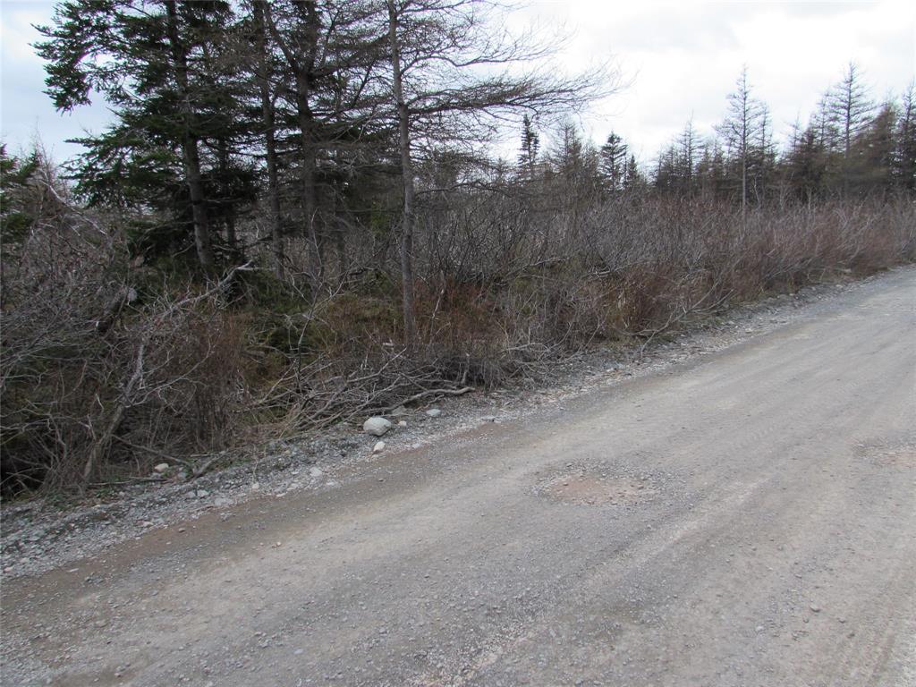 45 New Line Road, Colliers, NL