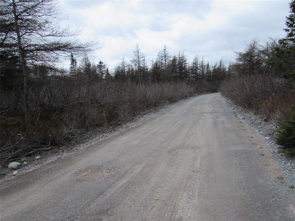 45 New Line Road, Colliers, NL