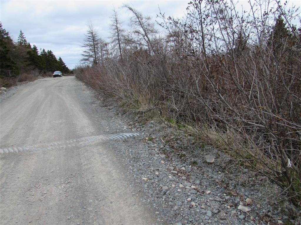 45 New Line Road, Colliers, NL