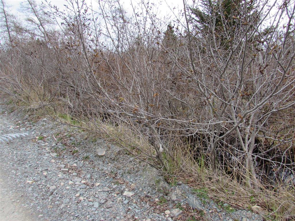 45 New Line Road, Colliers, NL