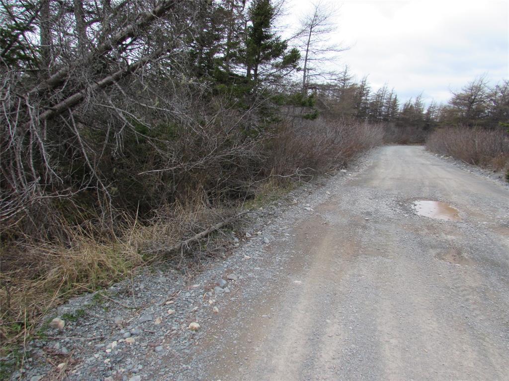 45 New Line Road, Colliers, NL