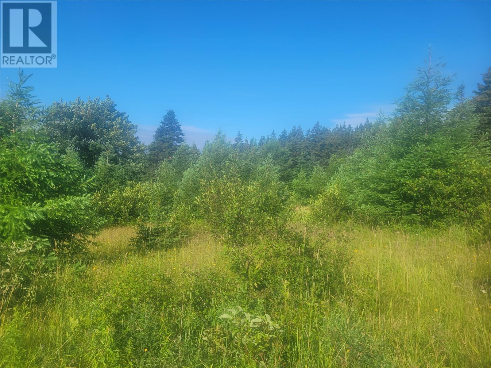 2A Williams Lane, Kippens, NL