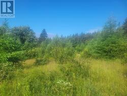 2a Williams Lane Kippens, NL A2N 3V1