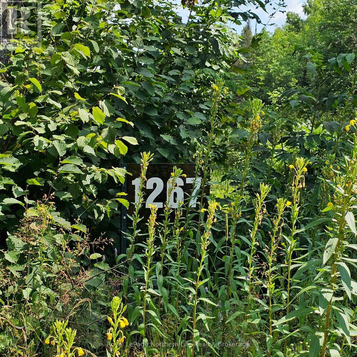 1267 Snake Creek Road, Mattawan, ON