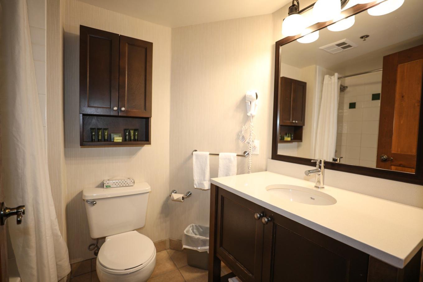 Salle de bains - 142-151 Ch. Du Curé-Deslauriers, Mont-Tremblant, QC - Indoor Photo Showing Bathroom